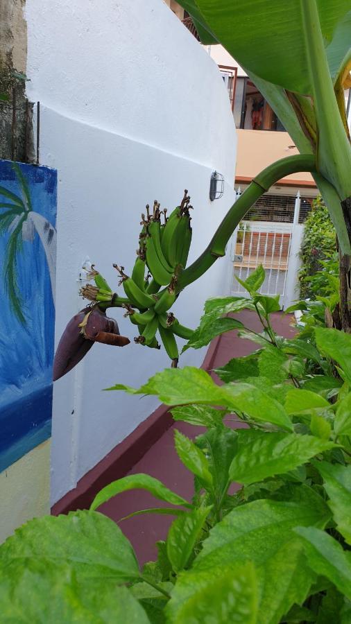 Playa Blanca Bed And Breakfast Bayahibe Ngoại thất bức ảnh